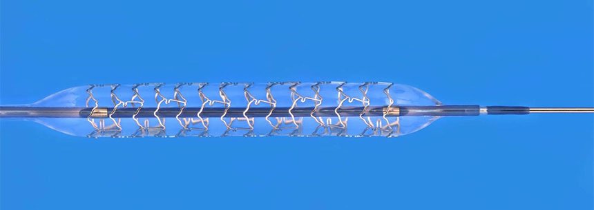 Abbott XIENCE Xpedition Coronary Stent System